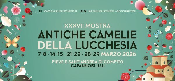 Mostra delle antiche camelie della Luccesia 